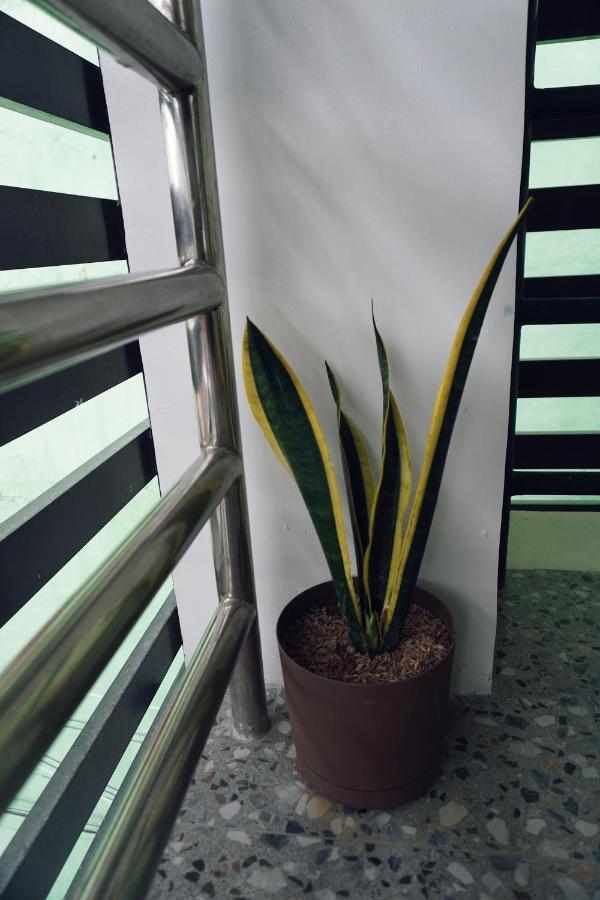 Cebu Backpackers Hostel المظهر الخارجي الصورة